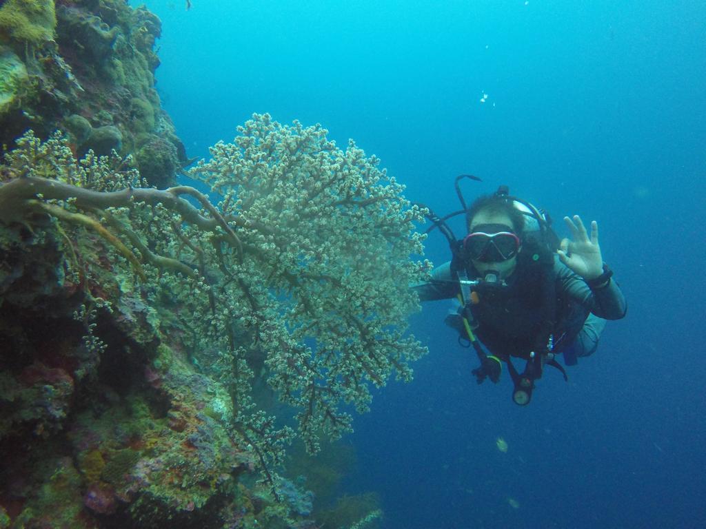 Biorock Homestay & Dive Center Pemuteran Экстерьер фото