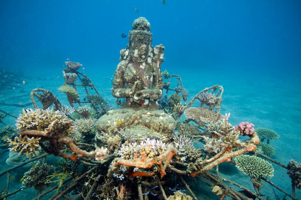 Biorock Homestay & Dive Center Pemuteran Экстерьер фото