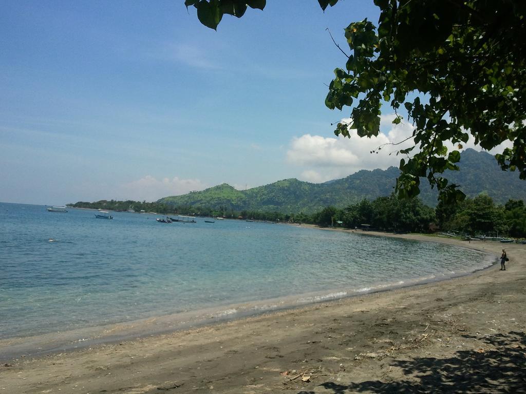 Biorock Homestay & Dive Center Pemuteran Экстерьер фото